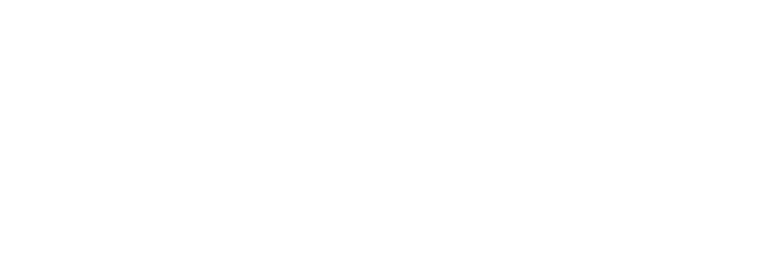 Aneela-Rose_logo-white